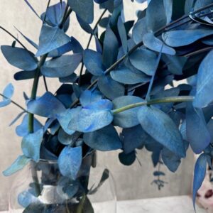 Eucalipto azul preservado