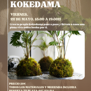 Crea tu kokedama